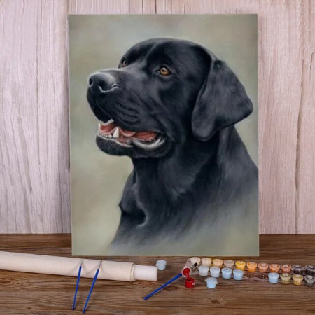 Peinture Par Numéro Chiens Lucy