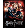 Peinture Par Numéro Harry Potter Serie C