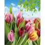 Tableau Peinture par Numéro Tulipes Multicolores | Loisir Créatif Adulte