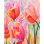 Peinture par Numéro Champ de Tulipes | Tableau Paysage Facile à Réaliser