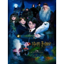 Peinture Par Numéro Harry Potter Serie E