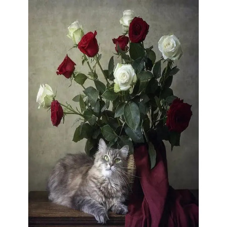 Peinture par Numéro Chat Rêveur et Bouquet de Roses Rouges