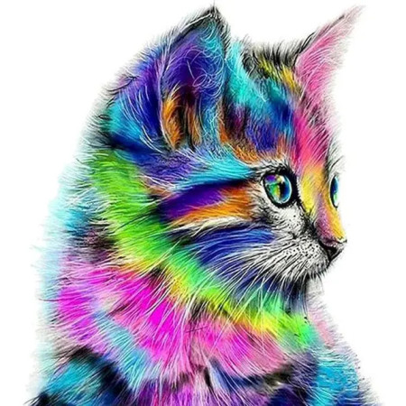 Peinture par Numéro Chat Arc-en-Ciel - Tableau Félin Coloré