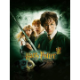 Peinture Par Numéro Harry Potter Serie H