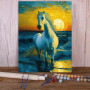 Peinture par Numéros Cheval Blanc Vagues Coucher Soleil