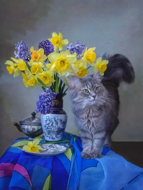 Peinture par Numéro Chat Persan Curieux et Bouquet de Printemps