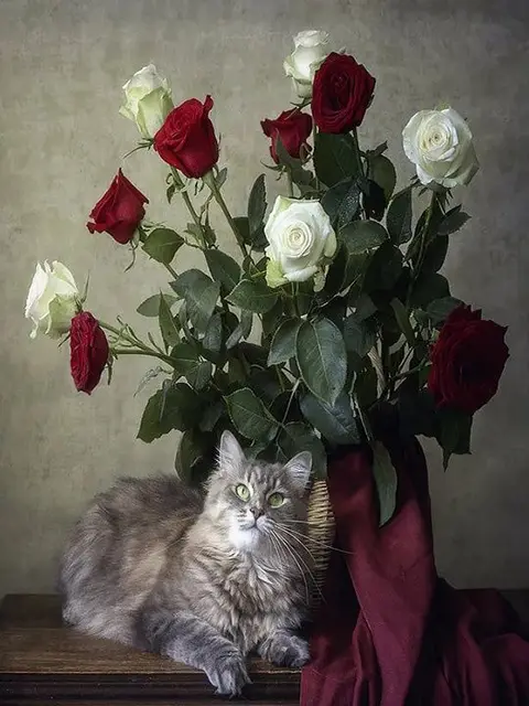 Peinture par Numéro Chat Rêveur et Bouquet de Roses Rouges