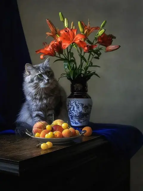 Peinture par Numéro Chat et Lys Orangés sur Fond Vintage