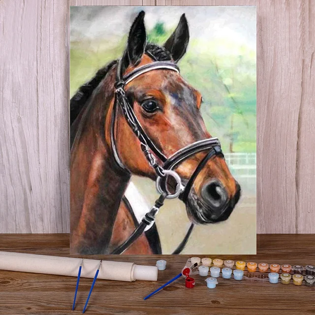 Peinture par Numéros Portrait Cheval Dressage Détaillé