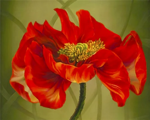 peinture par numéro Coquelicots Impressionnistes