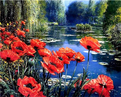 peinture par numéro Coquelicots et Bleuets