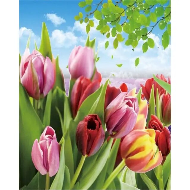 peinture par numéro Tulipes Multicolores