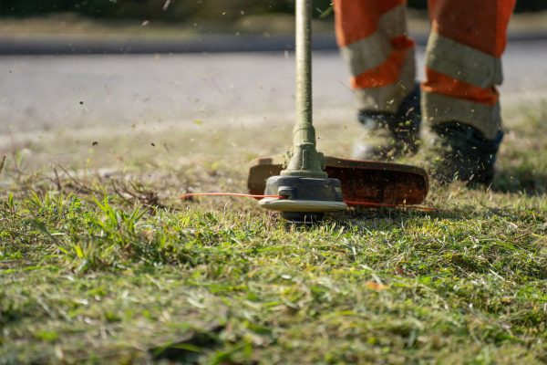 Quelle débroussailleuse choisir selon votre terrain ?